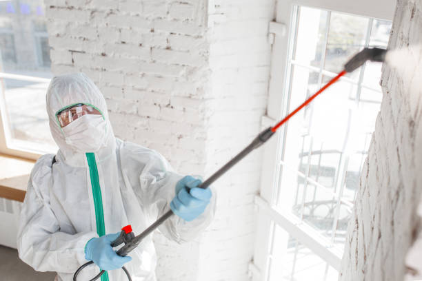 Reliable New Franklin, OH Mold Inspection, Removal & Remediation Solutions